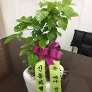 부울경행정사사무소 이미지