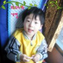 씽버스