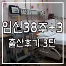 태린고무 | 요정 탄생 (feat. 출산후기 3탄)