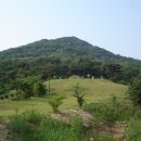 하연 선생 묘 이미지