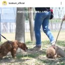 더키두들