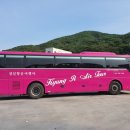 경일항공여행사 이미지