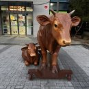 영주축산업협동조합 하나로마트 이미지