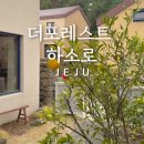 더포레스트하소로 | 제주 서쪽 애견동반 감성숙소 자쿠지 독채펜션 애월 더포레스트 하소로
