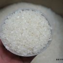 깻잎김밥