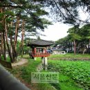 소나무숲 - 옹진군 영흥로685번길 72 | 소나무숲