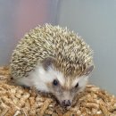 방주종합동물병원 이미지