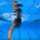 하이캐치 이미지