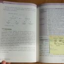 영교4 Daum카페
