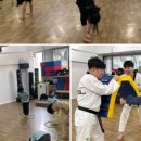 백의 태권도장 이미지