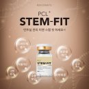 스템잇