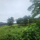 박철목장 이미지