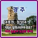 인물 찾아 떠나는 역사여행 | 역사 설명 어려웠죠? 경주 초등역사체험 신라 도슨트 투어 핵심 정리!