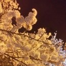 디아트펜션