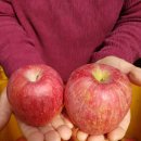 애련농장 이미지