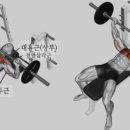 프레스 이미지