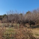 원선농장 이미지