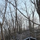 장엄유치원 | 천마산 산행후기, Feb. 2026 (2/2) - 호평동 보람유치원 - 천마산 산정 - 묵현리 관리사무소