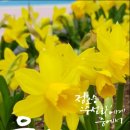 글고운도서관 이미지