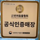 남구-037 | 울산 남구 삼산동 반려동물 강아지 분양 달링하이 울산점