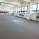 장산태권도 이미지