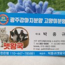 화순 토이샵 이미지