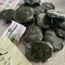 조도해풍쑥