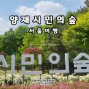 양재시민의숲 공원 테니스장 이미지