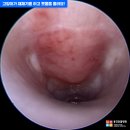 용강동물병원 이미지