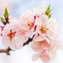 지곡유원지 이미지