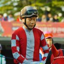 도현축산 네이버블로그