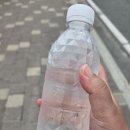 서프홀릭강릉경포점