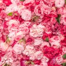 강대근 | 나잇살 이중턱 1분 괄사 마사지