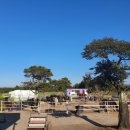 에코승마아카데미 이미지