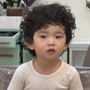 지오미장 네이버블로그