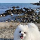 공수체험장 이미지