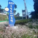 옥정호구절초테마공원 이미지