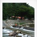 명당옥수 Daum카페