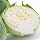 주식회사 더내추럴 이미지