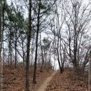 서봉산 산림욕장 2 이미지