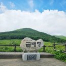 곰배령 이미지