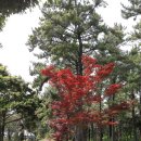 룸엣 155 이미지