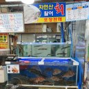 [충남 태안 안면도 가볼 만한 곳] 백사장 어촌계 수산시장, 태안 대하축제에서 신선한 해산물과 대하 철...