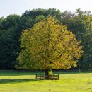 솔로몬도서관 이미지