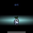 어스블리스 네이버블로그