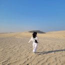 사우디 제7주유소 | [카타르 #3] 도하 반나절 사막투어 후기/ 마이리얼트립 예약 방법 및 할인코드 공유