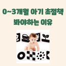 퍼니잼잼과정초점 | 아기 초점책 봐야하는 시기, 봐야하는 이유, 하루에 몇번 보여줄까?
