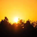 서귀포월드컵리조트 이미지