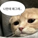 족발마을 - 은평구 통일로 850 | 족발마을