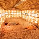 서울온천 이미지